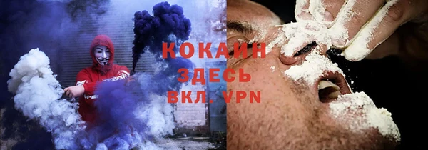 шишки Абаза