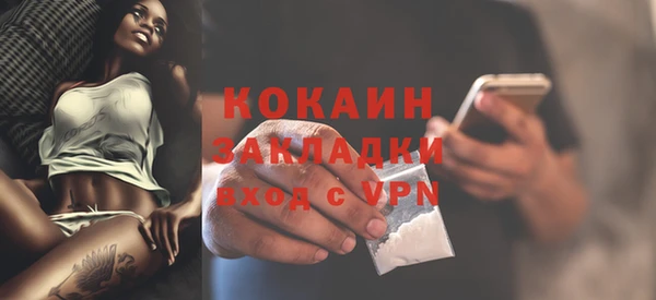 шишки Абаза