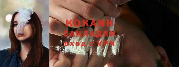 шишки Абаза