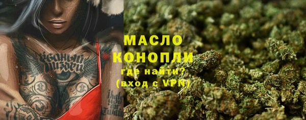 шишки Абаза