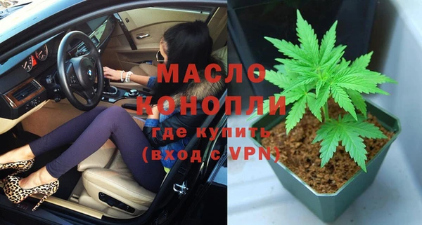 шишки Абаза