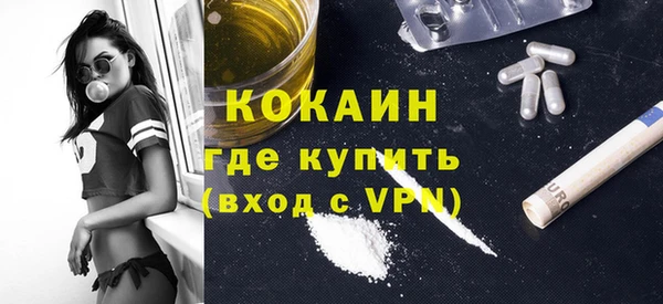 шишки Абаза