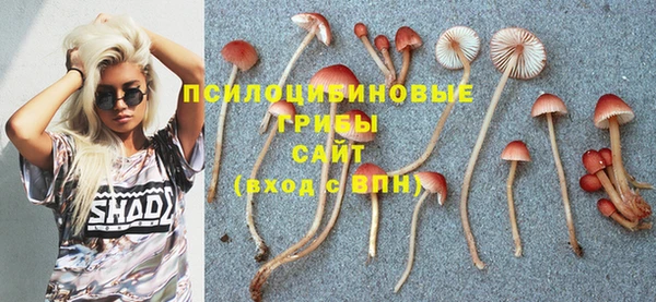 шишки Абаза
