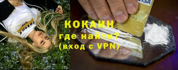 шишки Абаза